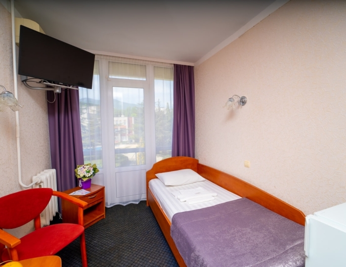 Стандарт 1-местный 1-комнатный - Санаторий «Славутич» (корпус Восход) Алушта