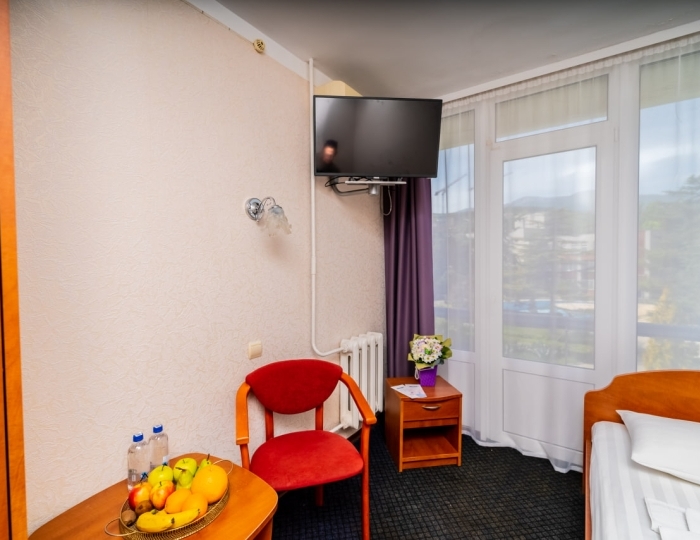 Стандарт 1-местный 1-комнатный - Санаторий «Славутич» (корпус Восход) Алушта