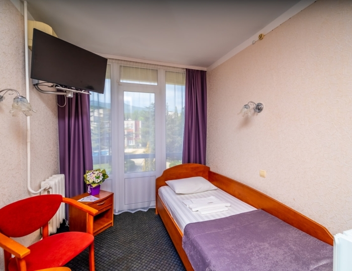 Стандарт 1-местный 1-комнатный - Санаторий «Славутич» (корпус Восход) Алушта